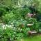 Theetuin en B & B De Theetuin