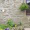 Cowslip - Uk12060