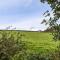Field View