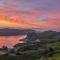 Puffin - Kerrera