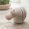 Hippos Rest