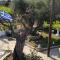 Villa Ioannis