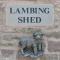 Lambing Shed - Uk12380