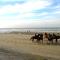 Apartment in Blankenberge near the Beach