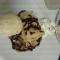 Le Baudilois photo 11