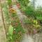 Atithi home stay and Cloud Kitchen