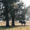 Coleslea by Tiny Away
