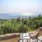 Olive Grove