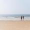Studio in De Haan near Sea and Dunes