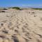 Apartment Nieuwpoort near Sandy Beaches