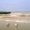 Apartment in Nieuwpoort near Sandy Beaches
