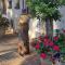Stay@Sparks Guesthouse