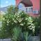 Villa Lilly