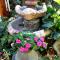 Cozy Garden Cozy Garden