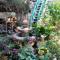 Cozy Garden Cozy Garden