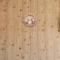 Location CHALET VOSGES CHEZ SEVERINE