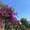 Green Coast 136