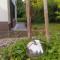Wald und Wiese