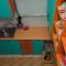 Globus Hostel - Kiev