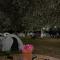 Waveside Camping