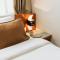 Duke Romana Suites by Olala!
