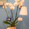 Etere in Prati Rooms