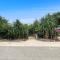 White Pandanus