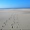 Apartment in Nieuwpoort near the Beach