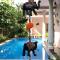 Mandaram villas