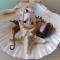 Flat Lora Pomorie
