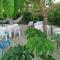 Bed and Breakfast L Aranciera