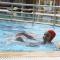 Tolip El Narges