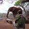 White Elephant Safaris - Pongola Game Reserve