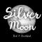 Foto: Silver Moon Bed & Breakfast 15/53