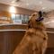 Hampton Inn & Suites Knoxville-Turkey Creek Farragut