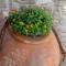 Terra Nobile, 3BR Mountain Stone Escape BBQ Fireplace