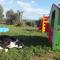 Casetta dell`Uliveto