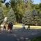 OConnells RV Campground Park Model 34 OConnells RV Campground Park Model 34