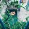 Lazy Bear Villa By The Little Hoi An