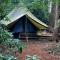 SENSI - glampingtenten midden in de bossen