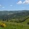 Rosso Del Chianti - Panzano in Chianti