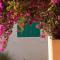 Monkeys Guest House - Ocean View Rooms & Apartment with Rooftop