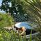 SunVilla
