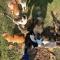 Digital Detox with 100 Animals Nature Stay
