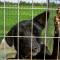 Digital Detox with 100 Animals Nature Stay