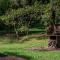 Woodbine Homestead