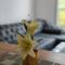 Apartman Nermin