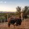 De Denne Country Guest House