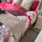 Clarens, Paddocks 23