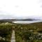 Cloudy Bay Villa